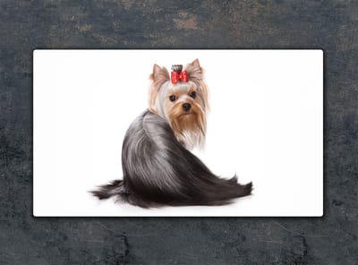 TMK ArtDeko Serie - Snijplank Glas - 52x30cm - Honden Motief