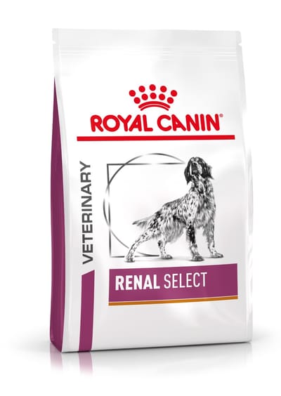 Royal Canin Veterinary Diet Renal Select Canine - Hondenvoer - 2 kg