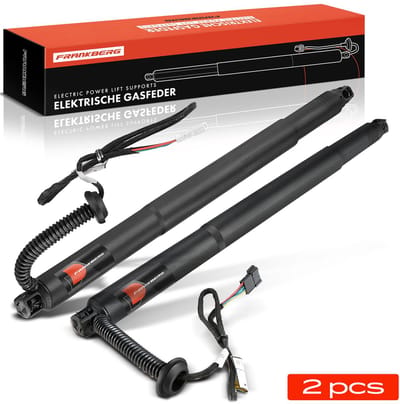 Frankberg 2x Gasveer Elektrisch Achterklep voor BMW X6 F16 F86