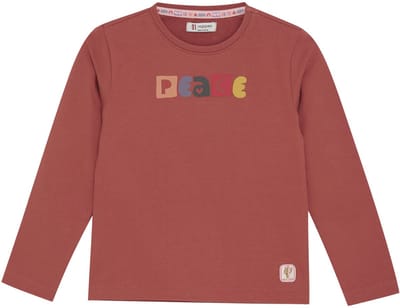 Noppies T-shirt Philo - Tandoori Spice - Maat 92