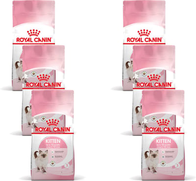 Royal Canin Kitten - Kitten-Kattenvoer - 6 x 2 kg