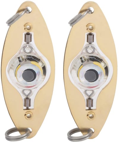 Dailygoods- Vissenloklicht 2 Stuks - LED Lamp - Oogvorm - Kleurrijk - Knipperlicht - Onderwater Lokken - Aaslamp