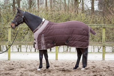 Staldeken Highliner 300 Brown paardendeken - maat 175