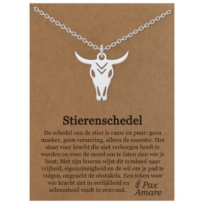 Stainless Steel Stier Schedel Ketting op Cadeau Kaartje Zilverkleurig - 45cm + 5cm Verstelbaar Roestvrij Staal - Schattige Cadeau Hanger - Pax Amare