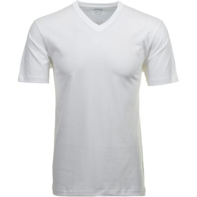 Ragman T-Shirt Uni V-Neck Single Jersey 2Pack Wit / male