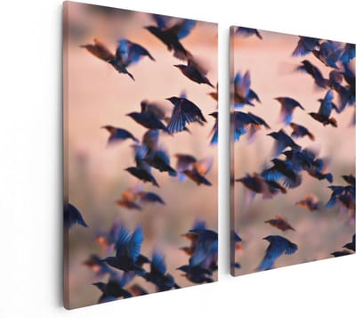 Artaza Canvas Schilderij Tweeluik Groep Vliegende Blauwe Spreeuw Vogels - 80x60 - Foto Op Canvas - Canvas Print