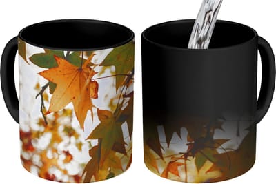 Magische Mok - Foto op Warmte Mokken - Koffiemok - Natuur - Herfstbladeren - Landelijk - Magic Mok - Beker - 350 ML - Theemok