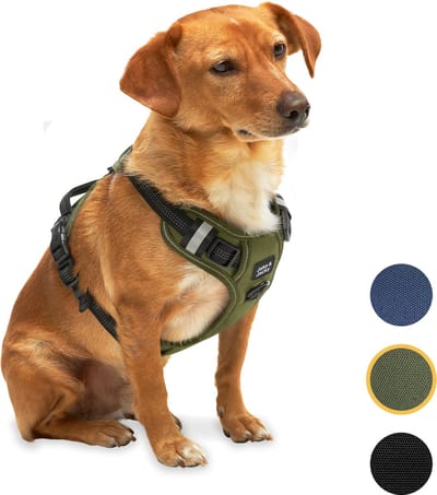 Jake and Jacky Hondentuigje - Anti-Trek Tuig - Hondenharnas - Y Tuig Hond - Reflecterend - Groen- Maat S