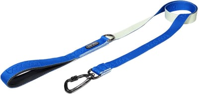 Boondog Hondenriem 1.4m - Sterke Nylon Riem - Comfortabele Grip - Lichtgewicht Karabijnhaak - Voor Dagelijks Gebruik - Cream/Blue - Maat S