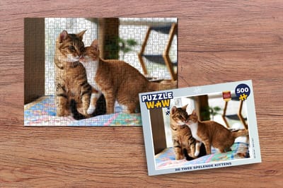 Puzzel De twee spelende kittens - Legpuzzel - Puzzel 500 stukjes