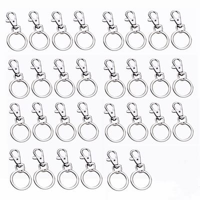 Dailygoods- Sleutelhanger 30 Stuks - Metalen Sleutelhanger - Afneembare Karabijnhaak - 360 Graden Draaiend - Stevige Springveer - Duurzaam Gebruik - Sleutelring