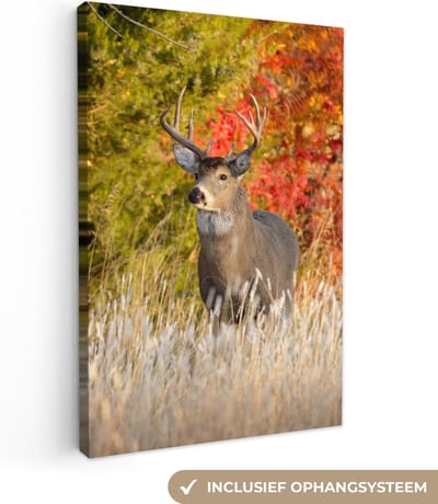 OneMillionCanvasses - Canvas - Hert - Edelhert - Bos - Herfst - Natuur - Gewei - Canvas schilderij - 20x30 - Kamer decoratie - Wanddecoratie