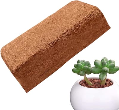 Kokos Substraat - Coco Peat Baksteen - Planten Kweken - Voorkomt Wortelrot - 300 g - Bruin
