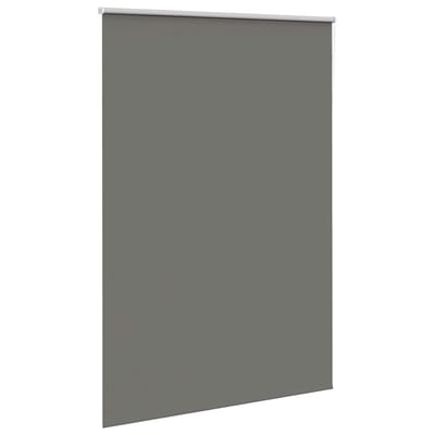 vidaXL - Rolgordijn - verduisterend - 165x210 - cm - stofbreedte - 161,6 - cm - grijs