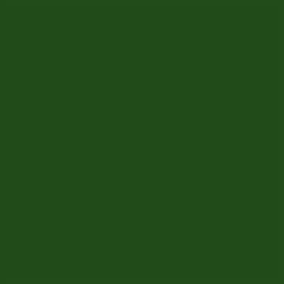 Servetten 38x38cm 40 stuks Colour Soft Touch green forest