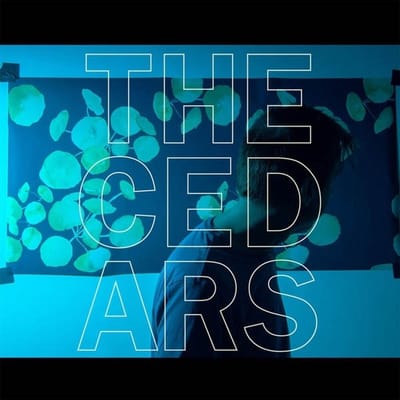 John Vanderslice - The Cedars (LP)