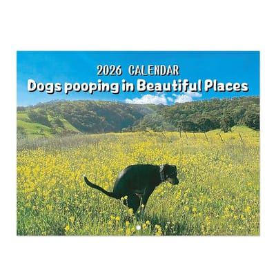 Dailygoods- Hondenkalender 2026 Grappige Foto's - Poepende Honden - Maandkalender - Dieren Kalender - Humoristische Kalender - Hoogwaardige Druk