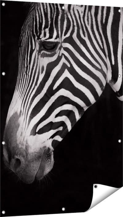 Gards Tuinposter Zebra Kop vanaf de Zijkant - Zwart Wit - 80x120 cm - Tuindoek - Tuindecoratie - Wanddecoratie buiten - Tuinschilderij