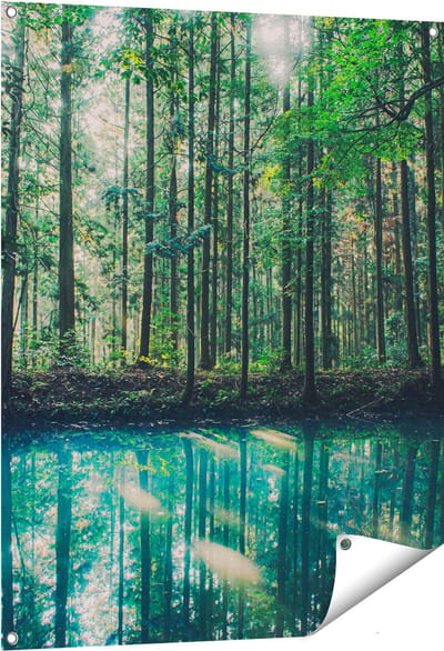 Gards Tuinposter Bos bij een Groen Meer - 80x100 cm - Tuindoek - Tuindecoratie - Wanddecoratie buiten - Tuinschilderij