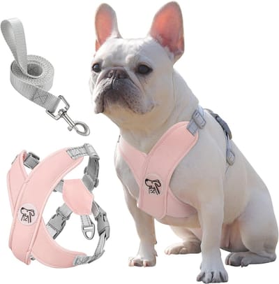 Zachte en Ademende Hondenharnas en Leash Set voor Kleine en Middelgrote Honden, Verstelbaar en Comfortabel, Ideaal voor Wandelen en Uitjes, Kleur: Roze