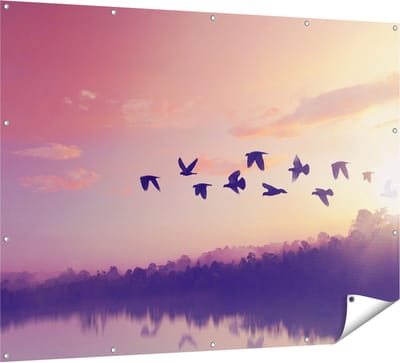 Gards Tuinposter Silhouet Vogels tijdens Zonsondergang - 160x120 cm - Tuindoek - Tuindecoratie - Wanddecoratie buiten - Tuinschilderij