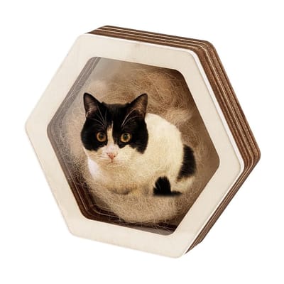 Dailygoods- Herdenkingsdoos Hout - Zeshoekige Herinneringsdoos - Opslag voor Huisdierhaar/Tanden/As - Perfect Cadeau voor Dierenliefhebbers - Afmetingen 110x97x23,5mm - Herinneringsbox