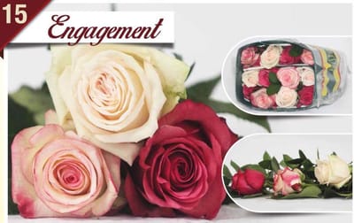 24x Rosa mix/bos hoja verde triett engagement 50cm