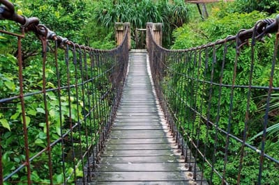 Fotobehang - Footbridge 375x250cm - Vliesbehang