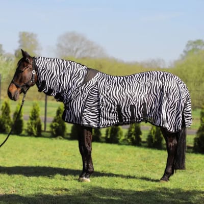 Zebra Staldeken met Halsbescherming voor Paard York