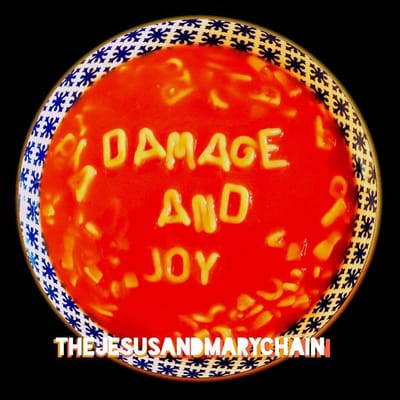 Damage And Joy