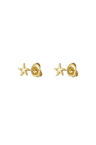 Oorknopjes met zeester - Studs - Oorstekers - Dames oorbellen - Oorbellen voor kinderen - Gouden oorbellen - Stainless Steel - Waterproof - Nikkel vrij - Kerst cadeau - Kerst sieraden - Moederdag - Valentijn - Oorbellen