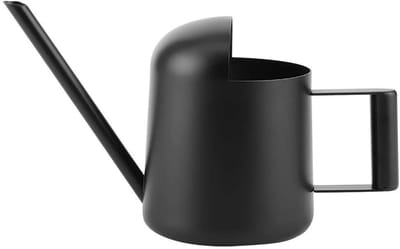 Dailygoods- Gieter 300 ml - Roestvrijstalen Mini Gieter - Geschikt voor Binnen/Buiten - Voor Kamerplanten/Tuinplanten - Duurzaam en Stevig - Glad Oppervlak - Plantenbewateringssysteem