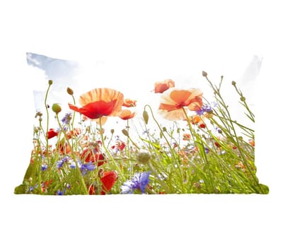 Sierkussens - Kussen - Klaprozen en korenbloemen in het zonlicht - 50x30 cm - Kussen van katoen