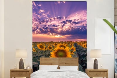 Behang - Fotobehang Bloemen - Lucht - Paars - Zonnebloem - Zonsondergang - Breedte 145 cm x hoogte 220 cm