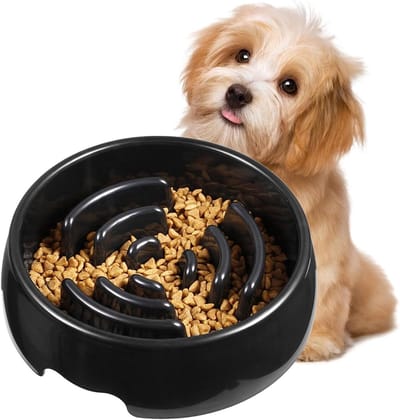 Hondenbak Slow Feeder - Voerbak Puzzel - Gezond Eten - Antislip Basis - 24.5 x 24.5 x 7 cm