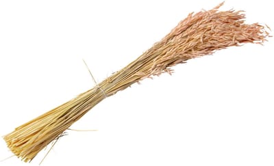 ARTYFETES - Boeket gedroogde roze haver 100 g 73 cm Boheemse decoratie