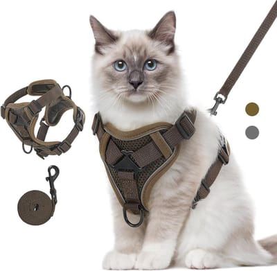 Lexium Kattenharnas - Kattentuigje met looplijn - Katten harnas - Kattenharnas met leiband - Kattenharnas met looplijn - Kattenlijn - Kattentuig