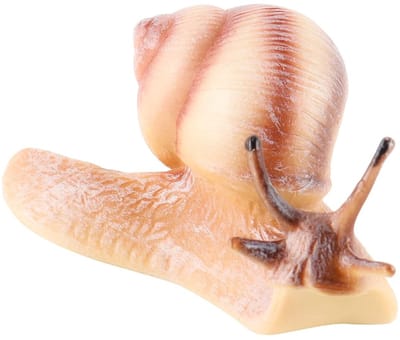 Dailygoods- Slakkensimulatiemodel - Decoratief speelgoed - Creativiteit stimuleren - Voor feeëntuinen - Voor poppenhuizen - Duurzaam plastic