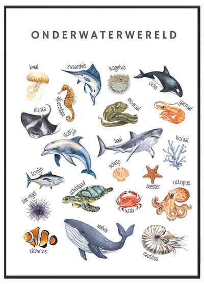 No Filter - Educatieve poster - zeedieren poster - 30x40 cm - A3 formaat- Kinderkamer posters - dierenposter