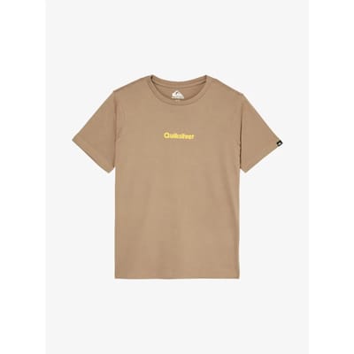 Quiksilver Rays T-shirt Met Korte Mouwen Bruin 14 Years Jongen