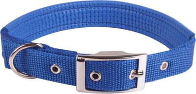 Nobleza Hondenhalsband - Nylon - Maat S - Verstelbaar 35 / 45 cm - Honden halsband - Halsband hond - Halsband met zachte voering - Blauw