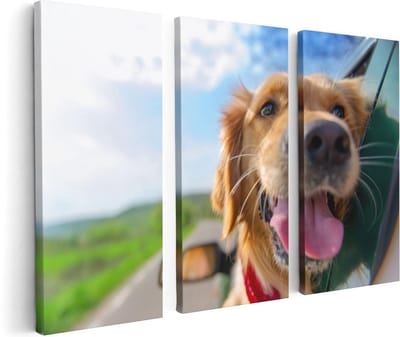 Artaza Canvas Schilderij Drieluik Golden Retriever Hond Uit Een Auto Raam - 120x80 - Foto Op Canvas - Canvas Print