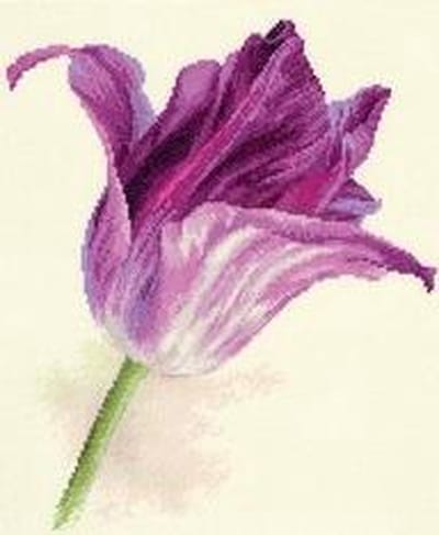 Borduurpakket Tulips Lilac velvet - Alisa