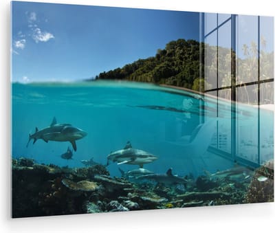 MuchoWow® Glasschilderij 150x100 cm - Schilderij acrylglas - Koraal - Haaien - Zee - Foto op glas - Muurdecoratie woonkamer - Wanddecoratie slaapkamer - Schilderijen