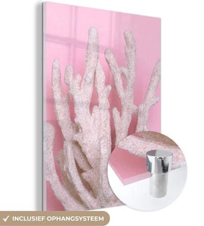 MuchoWow® Glasschilderij 30x40 cm - Schilderij acrylglas - Koraal - Roze - Zomer - Foto op glas - Schilderijen