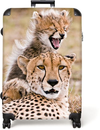 NoBoringSuitcases.com® - Koffer groot - Reiskoffer lichtgewicht - Cheeta - Wilde dieren - Savanne - Portret - Rolkoffer met 4 wielen - Grote trolley XL - 98 liter bagage
