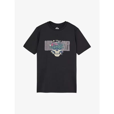 Quiksilver Paradise Point T-shirt Met Korte Mouwen Zwart 14 Years Jongen