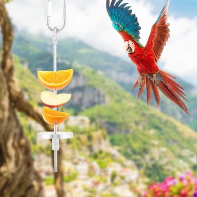 Dailygoods- Vogelfruithouder Roestvrij staal - Vogelspeelgoed - Papegaai - Groenten - Fruit - Duurzaam materiaal
