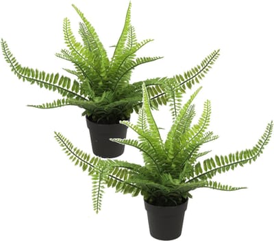 Countryfield Kunstplant Varen Monilophyta plant in bloempot - 2x - Groen - 25 x 36 cm