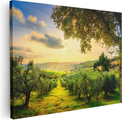 Artaza Canvas Schilderij Olijfboomgaard - 40x30 cm - Klein - Wanddecoratie Italië - Muurdecoratie Landschap - Kamer Accessoires Natuur